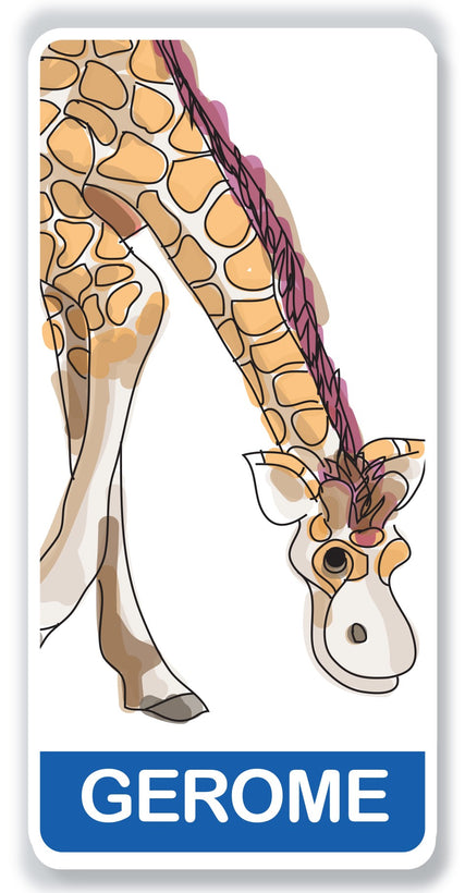 Gerome the giraffe
