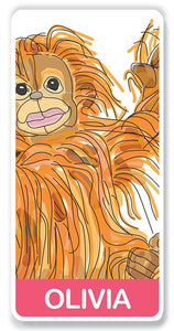 Olivia the orangutan