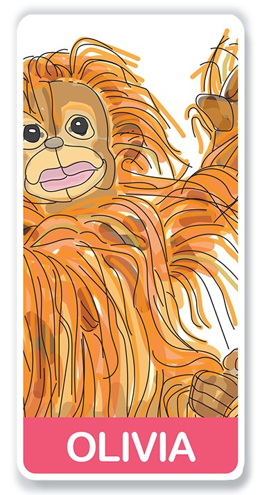 Olivia the orangutan